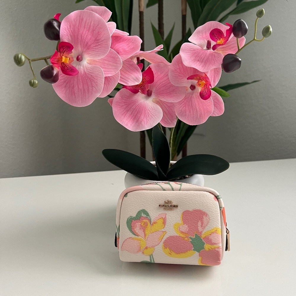 Coach small pouch in dreamy land floral print